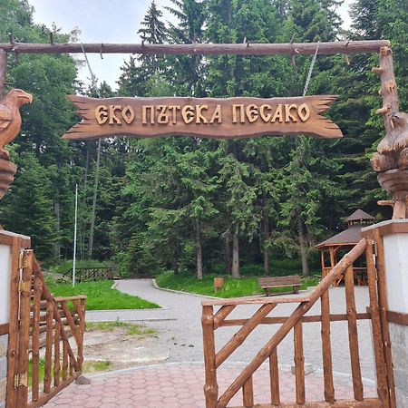 Mountain Peak Apartment بوروفتس المظهر الخارجي الصورة
