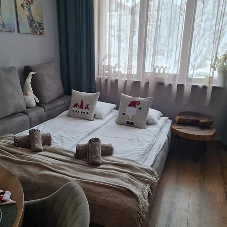 Mountain Peak Apartment بوروفتس المظهر الخارجي الصورة