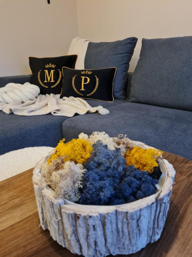 Mountain Peak Apartment بوروفتس المظهر الخارجي الصورة