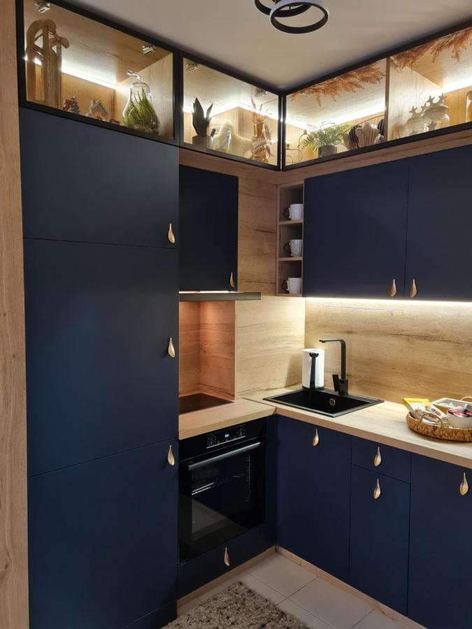 Mountain Peak Apartment بوروفتس المظهر الخارجي الصورة