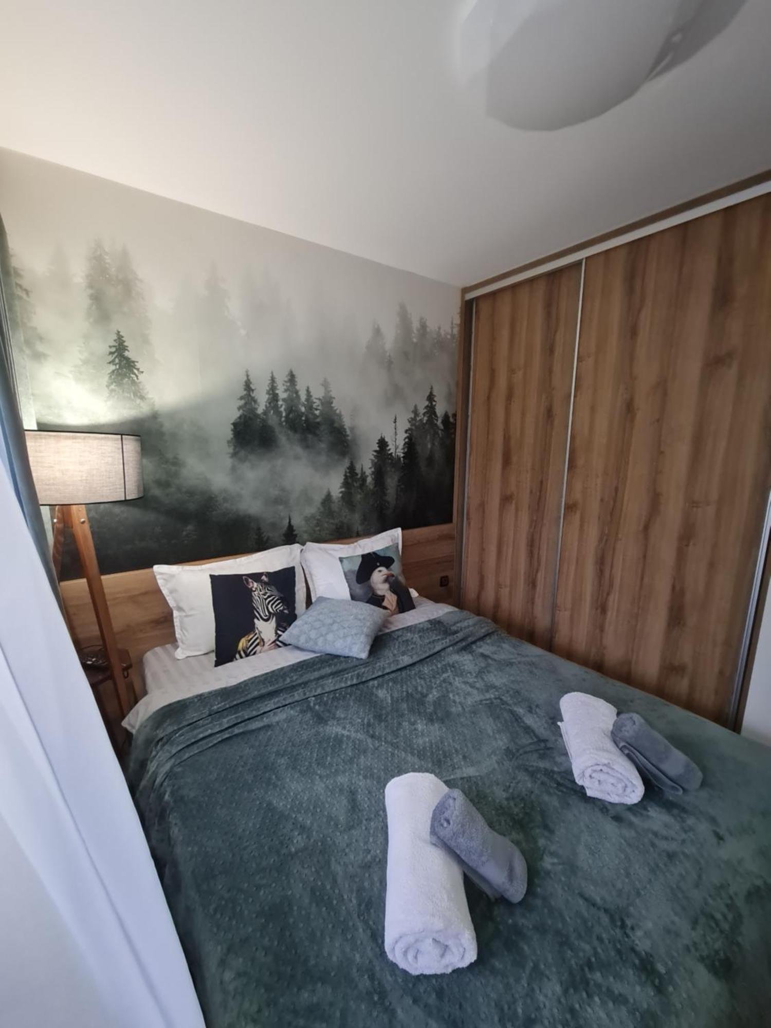 Mountain Peak Apartment بوروفتس المظهر الخارجي الصورة