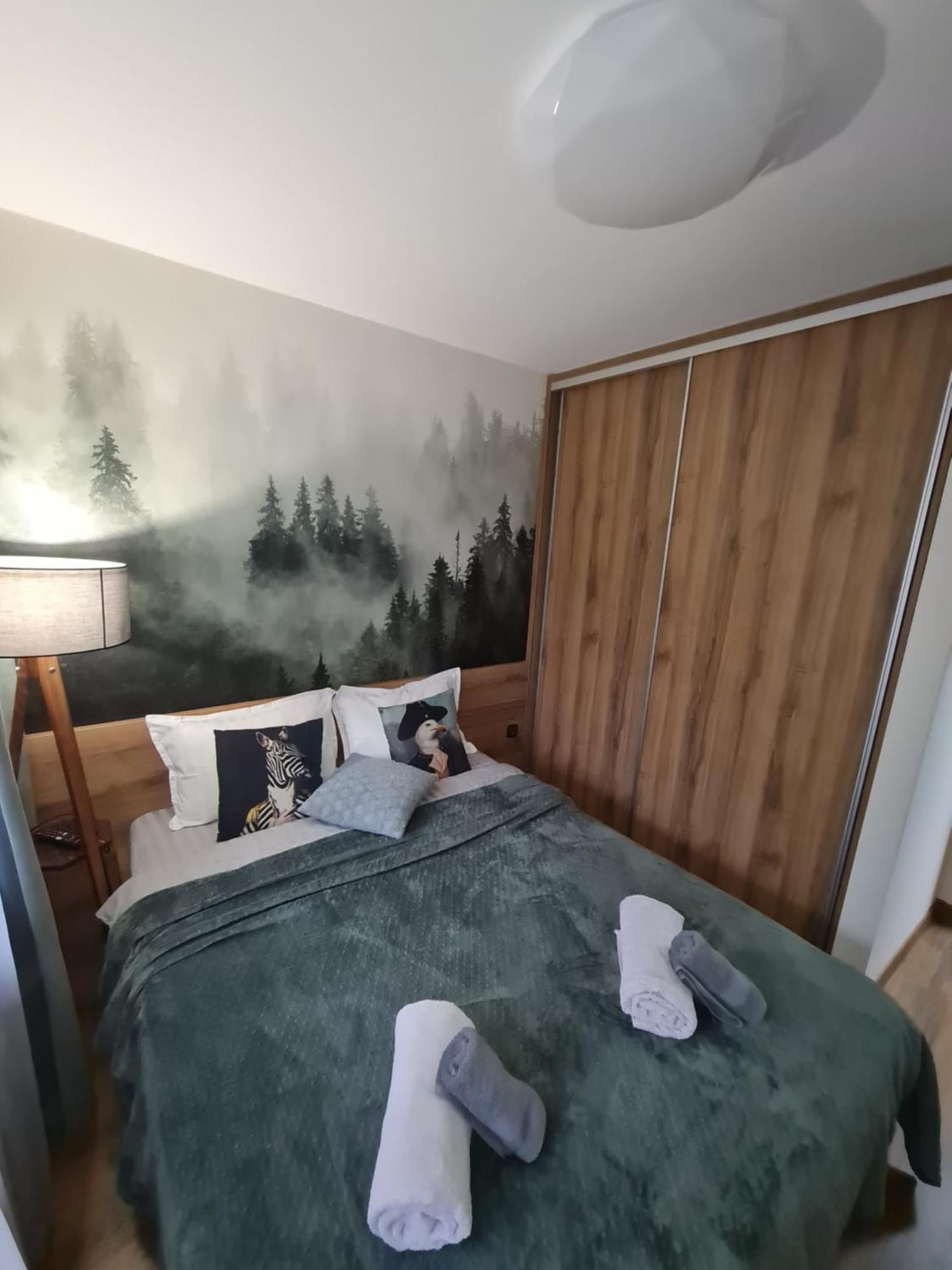 Mountain Peak Apartment بوروفتس الغرفة الصورة
